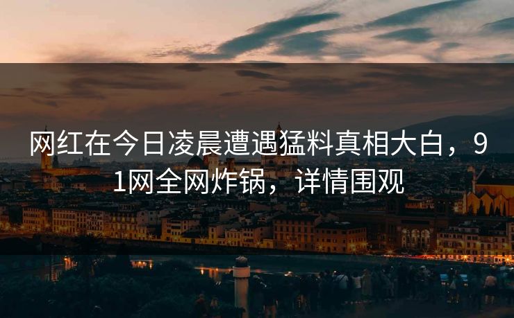 网红在今日凌晨遭遇猛料真相大白，91网全网炸锅，详情围观