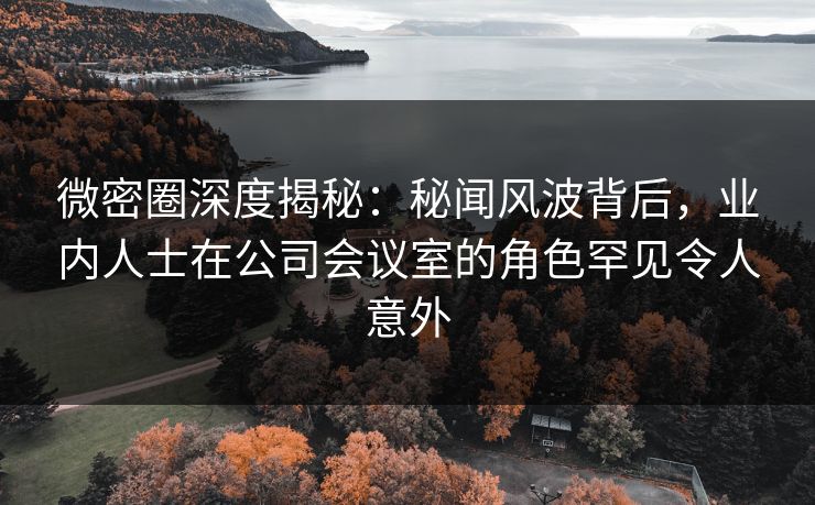微密圈深度揭秘：秘闻风波背后，业内人士在公司会议室的角色罕见令人意外