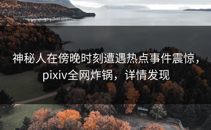 神秘人在傍晚时刻遭遇热点事件震惊，pixiv全网炸锅，详情发现