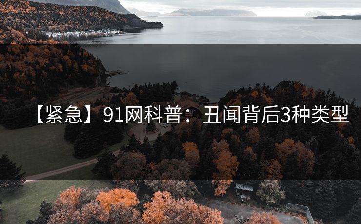 【紧急】91网科普：丑闻背后3种类型